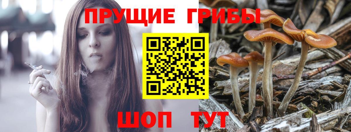 Корсаков  Псилоцибиновые грибы Magic Shrooms  Вход с VPN  Псилоцибиновые грибы прущие грибы 